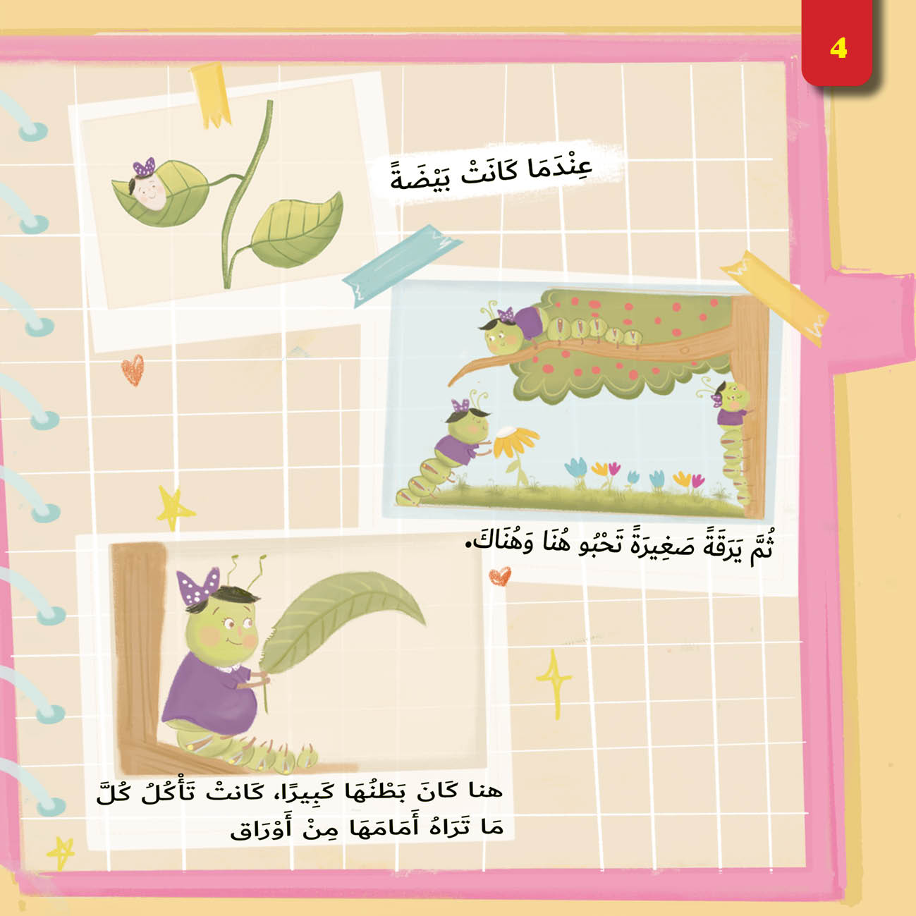 دفتر صور
